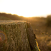 免费呼叫轰炸神器ios