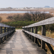 免费呼叫轰炸神器ios