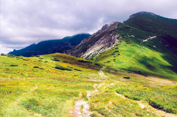 发卡网一手的电话在线压测平台